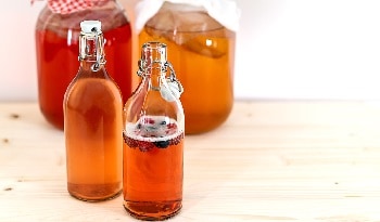 Yeboda Kombucha bottles Yeboda Kombucha bottles